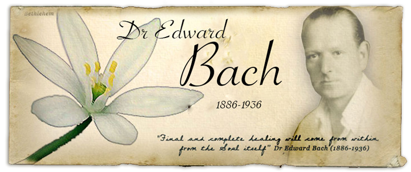 La carrière médicale du Dr Edward Bach