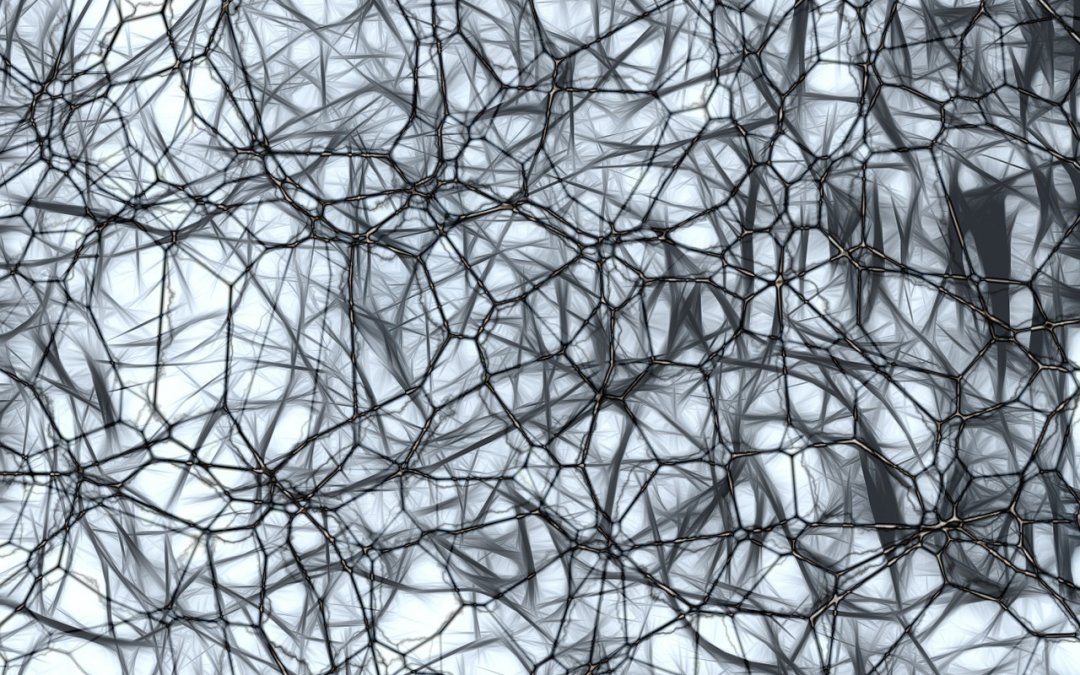 Comment fabriquer et garder de nouveaux neurones ?