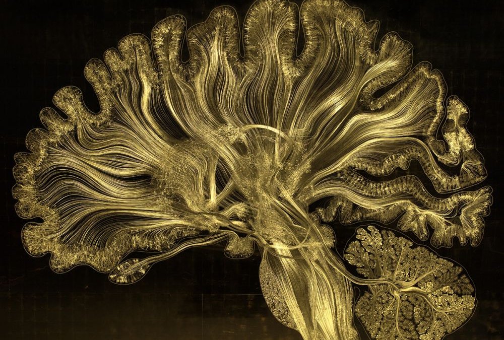 La magie et la complexité des neurones révélées dans une microgravure