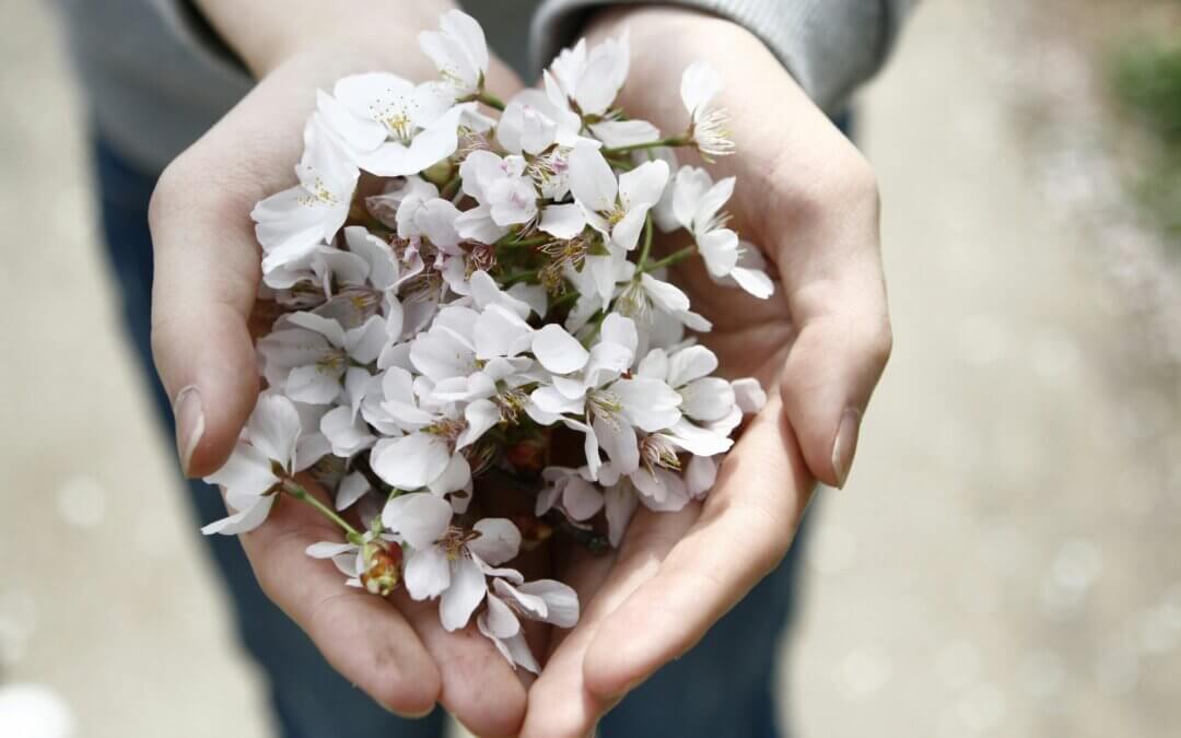 Mains fleurs de Bach : l’art d’écouter ses émotions